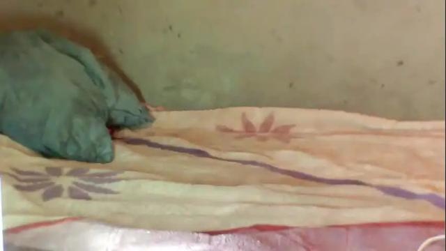 Image 6 of skylour Stream on Chaturbate on 4 months ago