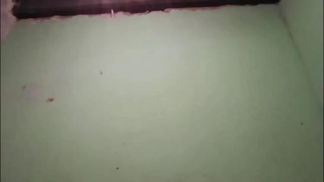 Image 10 of skylour Stream on Chaturbate on 2 months ago