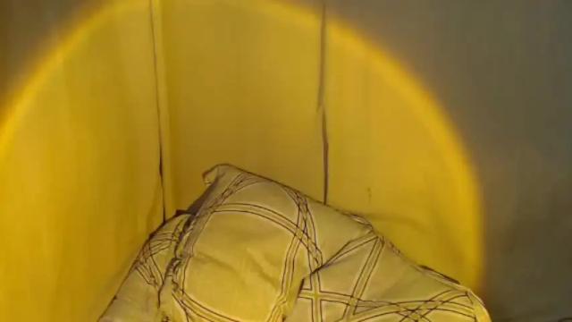 Image 3 of sldebae Stream on Chaturbate on 20 months ago