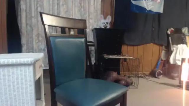 Image 7 of slickpulla5656 Stream on Chaturbate on 19 months ago