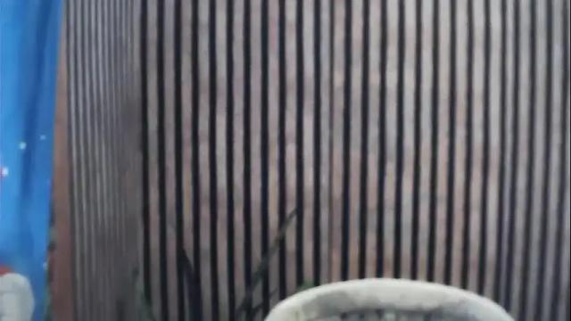 Image 10 of sluttyricca Stream on Chaturbate on 19 days ago