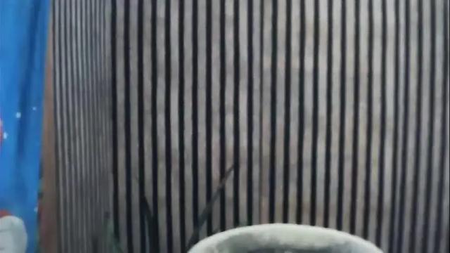 Image 2 of sluttyricca Stream on Chaturbate on 19 days ago