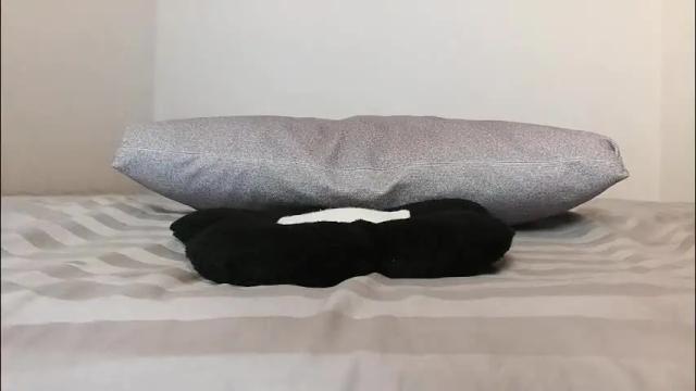 Image 12 of smalldoll7 Stream on Chaturbate on 1 month ago