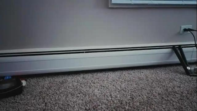 Image 10 of smexy_bun Stream on Chaturbate on 1 month ago