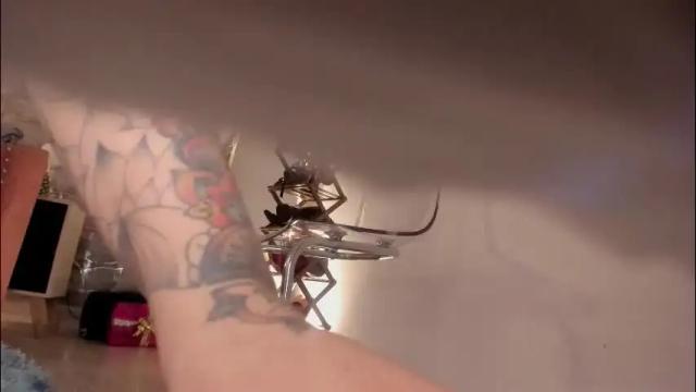 Thumbnail 1, smi_samara's Stream at Chaturbate, 1 month ago