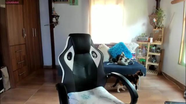 Image 6 of smilingsalor Stream on Chaturbate on 1 month ago