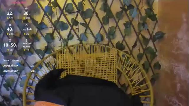 Image 7 of sobigcurvy44 Stream on Chaturbate on 1 month ago