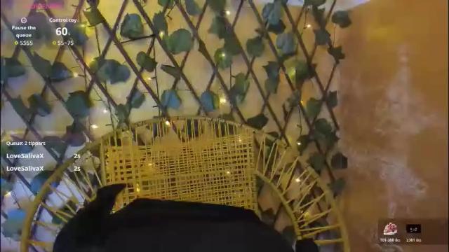 Image 8 of sobigcurvy44 Stream on Chaturbate on 1 month ago