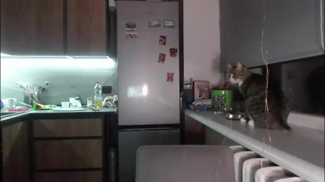 Thumbnail 1, sofi_delightful's Stream at Chaturbate, 1 month ago