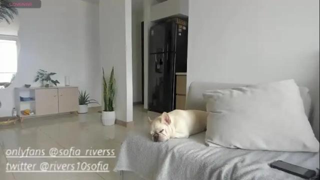 Image 3 of sofia_rivers_ Stream on Chaturbate on 1 month ago