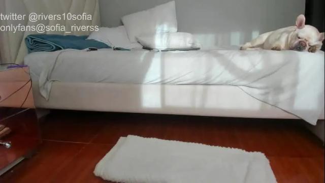 Image 2 of sofia_rivers_ Stream on Chaturbate on 23 days ago