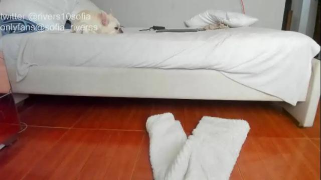 Image 7 of sofia_rivers_ Stream on Chaturbate on 19 days ago