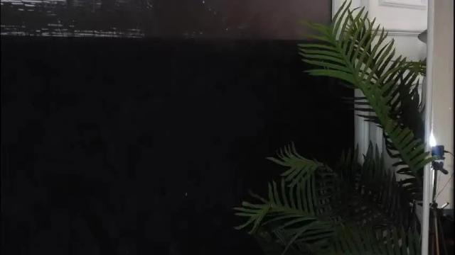 Image 4 of sofiafoster Stream on Chaturbate on 1 month ago