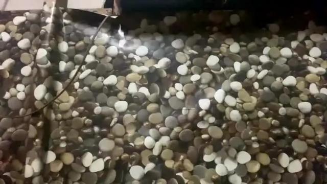 Image 6 of sofiajules Stream on Chaturbate on 19 months ago