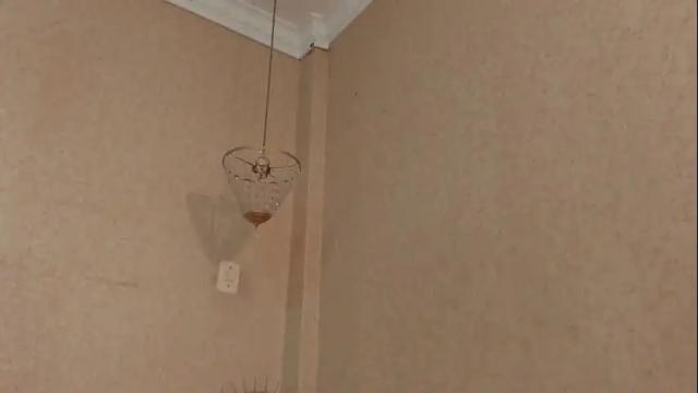 Image 3 of sofianesvat1 Stream on Chaturbate on 1 month ago