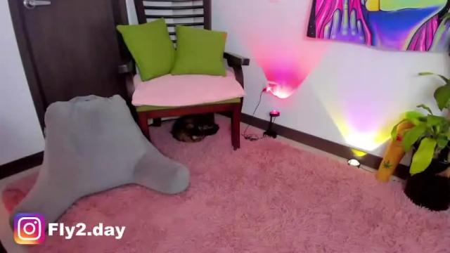 Thumbnail 2, sofiareyess's Stream at Chaturbate, 17 months ago
