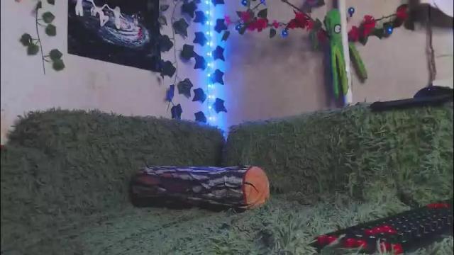 Image 10 of sofiberg Stream on Chaturbate on 2 months ago