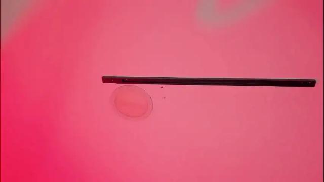 Image 4 of sofiia_rubb Stream on Chaturbate on 1 month ago