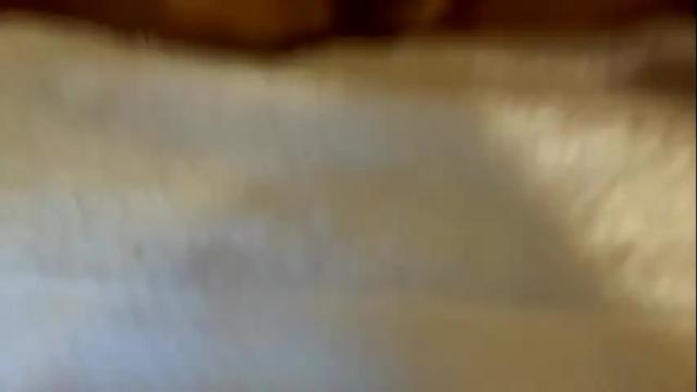 Thumbnail 2, sofijade's Stream at Chaturbate, 4 months ago