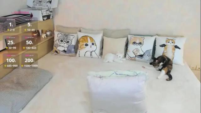 Image 6 of soft_purr_kitty Stream on Chaturbate on 7 months ago