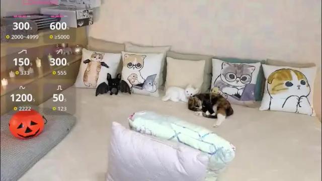 Thumbnail 1, soft_purr_kitty's Stream at Chaturbate, 2 months ago