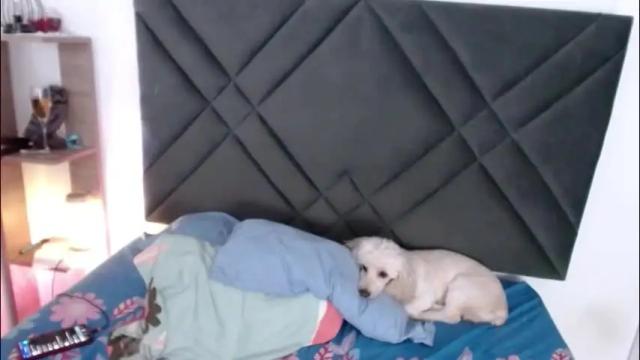 Image 12 of sophiagomez1 Stream on Chaturbate on 2 months ago