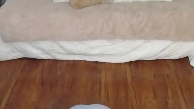 Thumbnail 2, sophie_bss's Stream at Chaturbate, 14 months ago