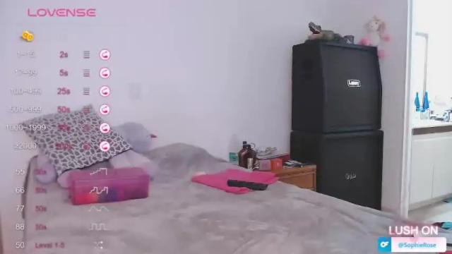 Thumbnail 2, sophie_roses's Stream at Chaturbate, 15 months ago