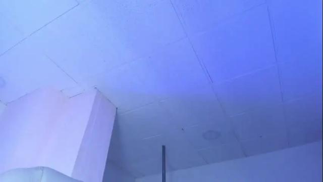 Image 7 of sophiehill_gh Stream on Chaturbate on 1 month ago