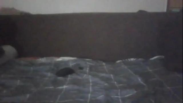 Thumbnail 3, sosoftdrew's Stream at Chaturbate, 17 months ago
