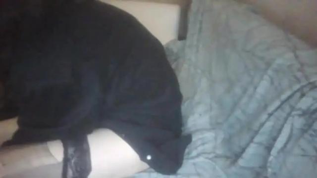 Image 2 of sosoftdrew Stream on Chaturbate on 17 months ago