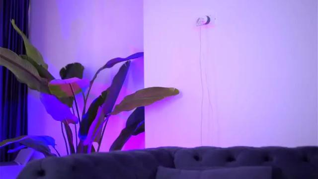 Thumbnail 1, sosox_'s Stream at Chaturbate, 17 months ago