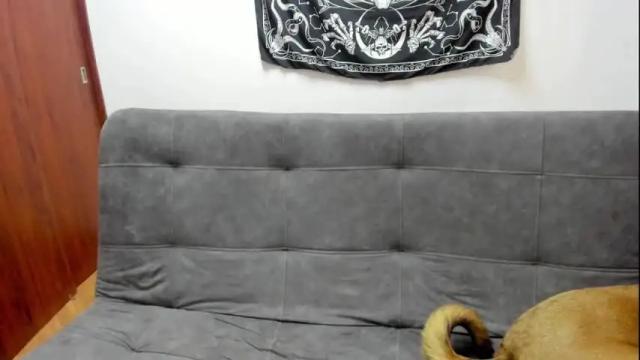 Image 8 of sourcandy_souracid_ Stream on Chaturbate on 3 months ago