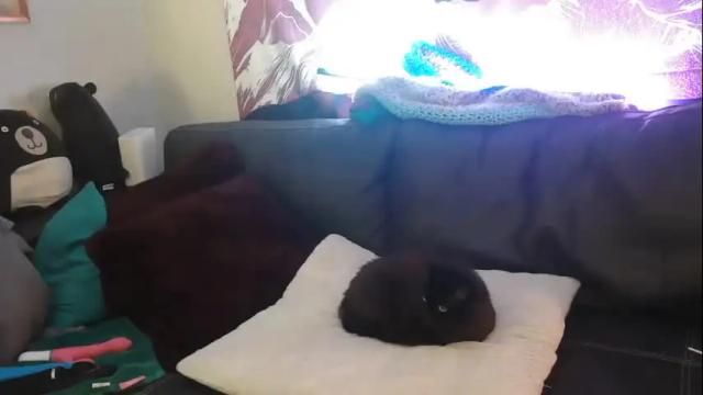 Image 12 of southwestsugar Stream on Chaturbate on 17 months ago