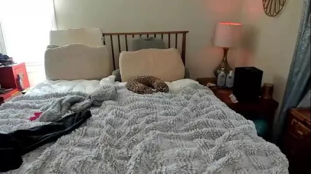 Image 3 of spankamber Stream on Chaturbate on 13 days ago