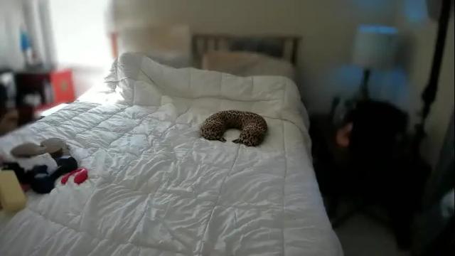 Image 2 of spankamber Stream on Chaturbate on 2 months ago