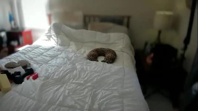 Image 3 of spankamber Stream on Chaturbate on 2 months ago