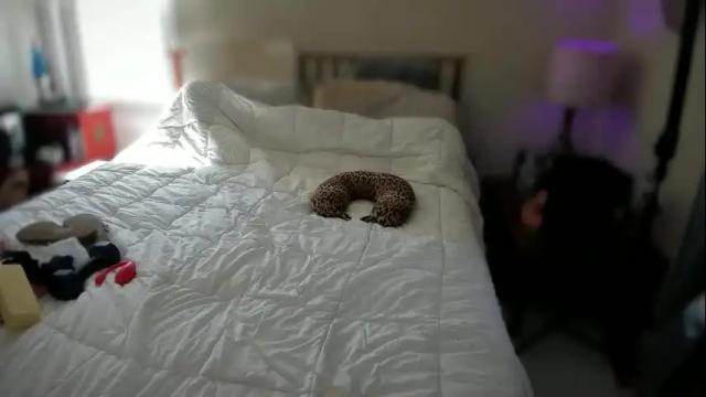 Image 4 of spankamber Stream on Chaturbate on 2 months ago