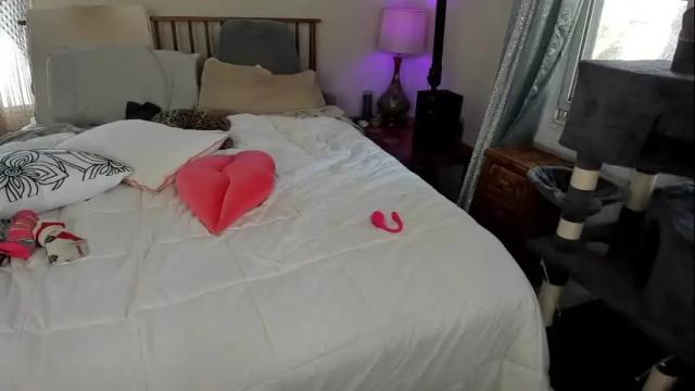 Image 8 of spankamber Stream on Chaturbate on 1 month ago