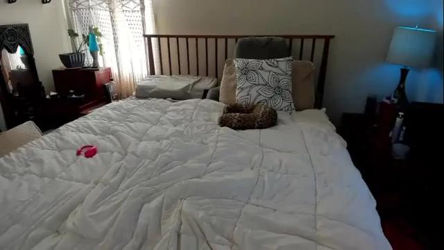 Image 12 of spankamber Stream on Chaturbate on 1 month ago