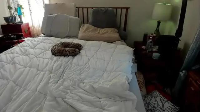 Image 10 of spankamber Stream on Chaturbate on 1 month ago