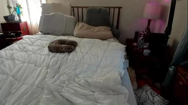 Image 11 of spankamber Stream on Chaturbate on 1 month ago