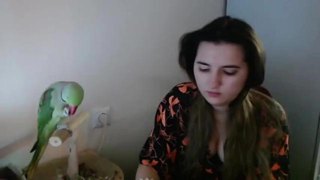 Image 7 of spanking_girls Stream on Chaturbate on 16 months ago