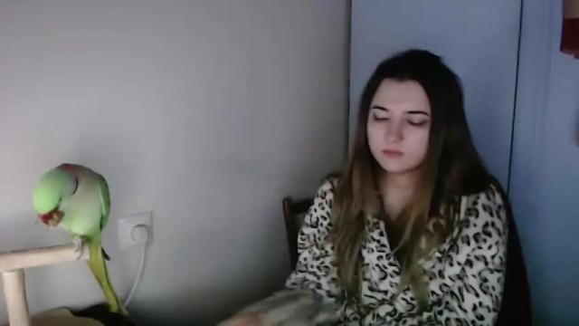 Image 3 of spanking_girls Stream on Chaturbate on 15 months ago