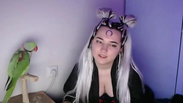 Image 11 of spanking_girls Stream on Chaturbate on 14 months ago