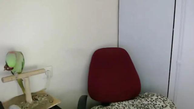 Thumbnail 1, spanking_girls's Stream at Chaturbate, 13 months ago