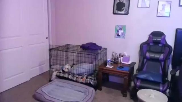 Image 12 of sparkle_pinuppp Stream on Chaturbate on 13 months ago