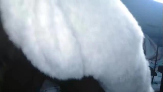 Image 10 of spicy_ree2 Stream on Chaturbate on 28 days ago
