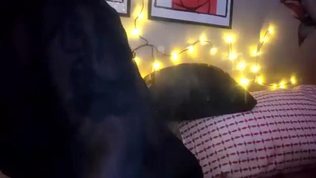 Image 6 of spinnerbitch Stream on Chaturbate on 1 month ago