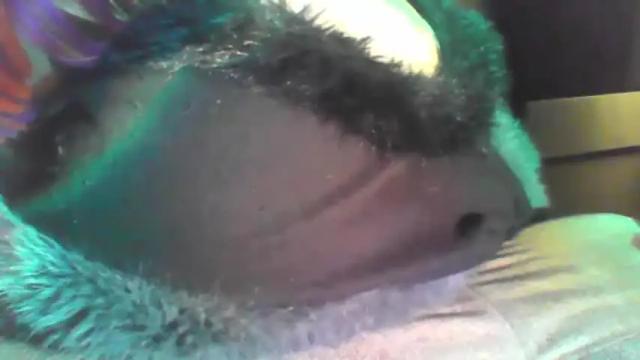 Image 10 of spinnerbitch Stream on Chaturbate on 14 days ago